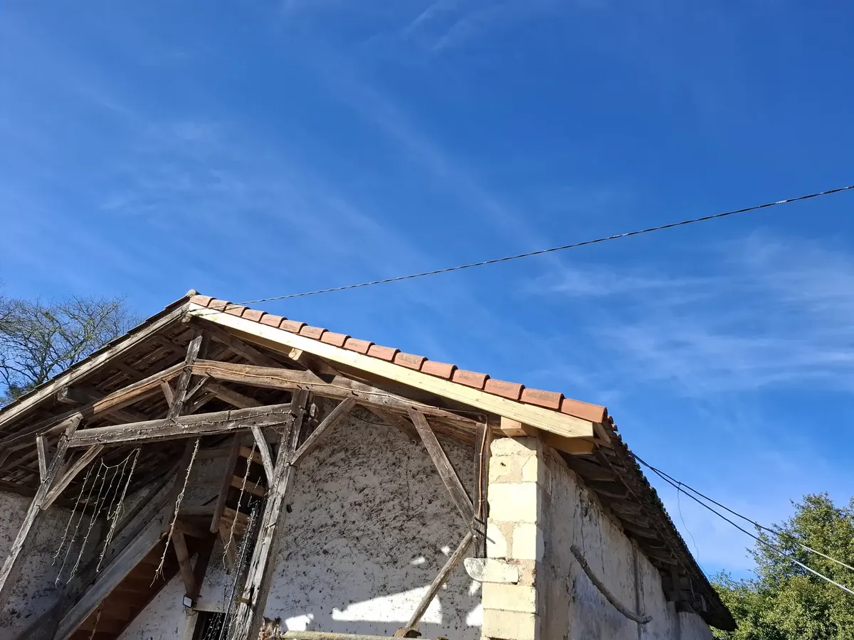 Charpente ancienne d'une grange landaise en cours de rénovation
